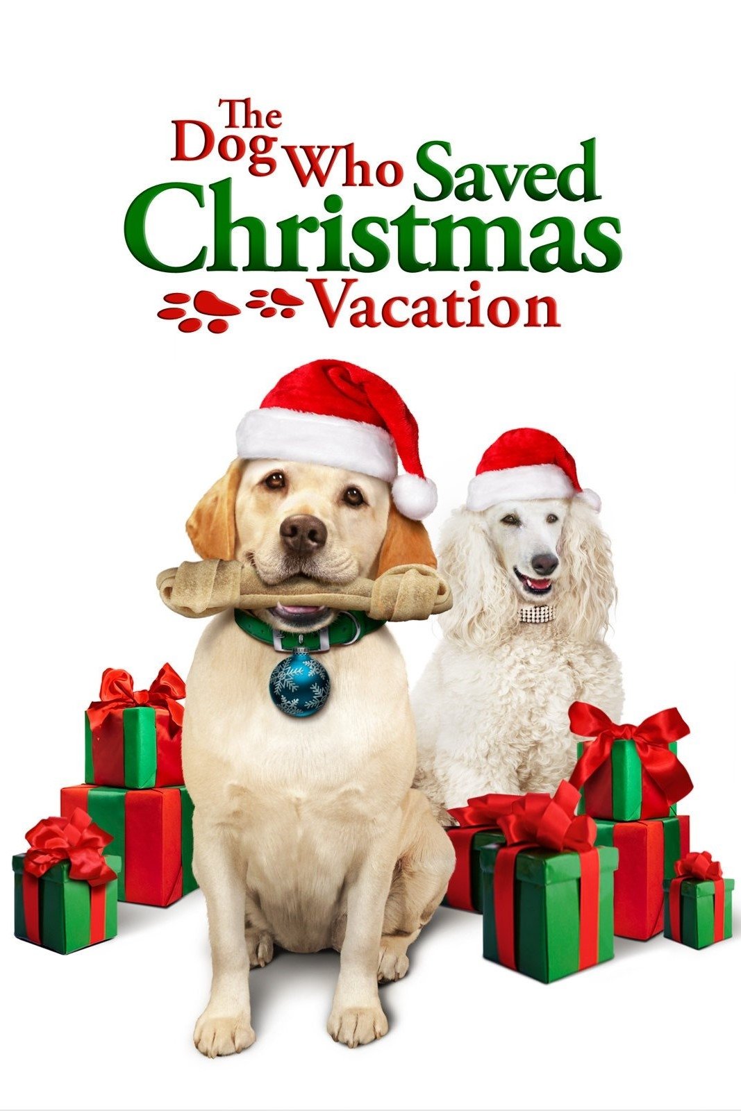 Постер The Dog Who Saved Christmas Vacation